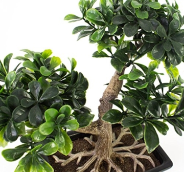 Künstlicher Buchs Bonsai in Dekoschale, 20 cm - Kunstbonsai - 