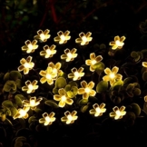 Battery Operated Blossom String Lights, Loende 18FT 50LED Fairy Flower Christmas Decorative Lighting for Indoor, Home, Bedroom, Outdoor, Garden, Patio, Holiday, Wedding, Party (warm white) -