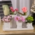 Home&Decorations Keramikvasenset Blumenvase Keramikvasen weiß Vase Blumen Pflanzen Keramik Set Deko Dekoration (1 Set je 5 Vasen, weiß) - 3