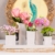 Home&Decorations Keramikvasenset Blumenvase Keramikvasen weiß Vase Blumen Pflanzen Keramik Set Deko Dekoration (1 Set je 5 Vasen, weiß) - 6