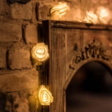 LED Rosen Lichterkette - 5 Meter Gesamtlänge | 20 LEDs warm-weiß - kein lästiges austauschen der Batterien | NICHT batterie-betrieben sondern mit Netzstecker | von CozyHome - 1