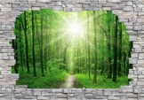 3D Fototapete »3D Sunny Forest Mauer«, 384/260 cm