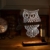 LED Dimmbar CITTATREND Tischleuchte - 3D Visual Acryl Eule Deco Holz Nachttischlampe - Warmweiß Nachtlicht - Geschenk für Kinderzimmer Schlarfzimmer - 4