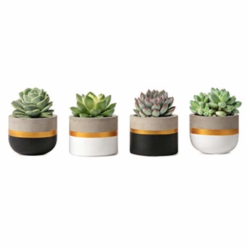 Mkouo 7.6cm Zement Succulent Pflanzen Modern Concrete Kaktus Blumentöpfe Small Clay Innen Herb Window Box Container for Home and Office Decor, Set of 4 - 1