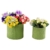 Set von 2 pistazie grün Keramik Hobnail Strukturierte Pflanzgefäße, Vintage Blumentöpfe - 2