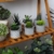 T4U 6cm Zement Sukkulenten Töpfchen mit Untersetzer Rund 6er-Set, Beton Mini Blumentopf mit Muster für Kaktus Miniaturpflanzen - 3