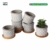 T4U 6cm Zement Sukkulenten Töpfchen mit Untersetzer Rund 6er-Set, Beton Mini Blumentopf mit Muster für Kaktus Miniaturpflanzen - 4