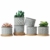 T4U 6cm Zement Sukkulenten Töpfchen mit Untersetzer Rund 6er-Set, Beton Mini Blumentopf mit Muster für Kaktus Miniaturpflanzen - 1