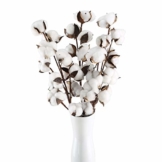 HUAESIN 3pcs Baumwolle Zweig 10 Köpfe Natürlich Getrocknete Blumen Künstliche Dekoblumen Weiss Kunstblumen Gefälschte Unechte Blumen für Vase Hochzeit Zimmer Cafe Dekoration - 1