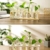 SUNRUNERS Glas-Pflanzgefäße für den Innenbereich mit Flaschenbeleuchtung, Hydrokultur, Pflanzen-Holzständer für Zuhause, Büro, Dekoration, Rohholz, 5 Terrarium - 4