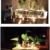 SUNRUNERS Glas-Pflanzgefäße für den Innenbereich mit Flaschenbeleuchtung, Hydrokultur, Pflanzen-Holzständer für Zuhause, Büro, Dekoration, Rohholz, 5 Terrarium - 7