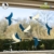 Stickers4 Vogel Fensteraufkleber zum Schutz vor Vogelschlag - 6 schöne Schwalbe Glassticker, doppelseitig und selbstklebend zum Schutz vor Vogelkollisionen - 2