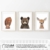 Frechdax® 3er-Set Bilder Kinderzimmer Deko Junge Mädchen - DIN A4 Poster Tiere - Wandbilder - Porträt | Waldtiere Safari Afrika Tiere Porträt (3er Set Bär, REH, Eichhörnchen) - 3