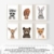 Frechdax® 3er-Set Bilder Kinderzimmer Deko Junge Mädchen - DIN A4 Poster Tiere - Wandbilder - Porträt | Waldtiere Safari Afrika Tiere Porträt (3er Set Bär, REH, Eichhörnchen) - 5