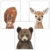Frechdax® 3er-Set Bilder Kinderzimmer Deko Junge Mädchen - DIN A4 Poster Tiere - Wandbilder - Porträt | Waldtiere Safari Afrika Tiere Porträt (3er Set Bär, REH, Eichhörnchen) - 1