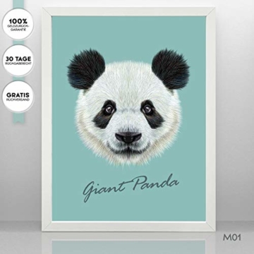 MiaLu® Poster Kinderzimmer Tiere - 3er Set Bilder Babyzimmer Deko für Junge Mädchen (Panda-Bär, Igel, Hase) DIN A4 - 3