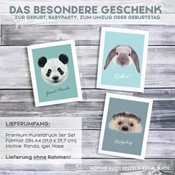 MiaLu® Poster Kinderzimmer Tiere - 3er Set Bilder Babyzimmer Deko für Junge Mädchen (Panda-Bär, Igel, Hase) DIN A4 - 5
